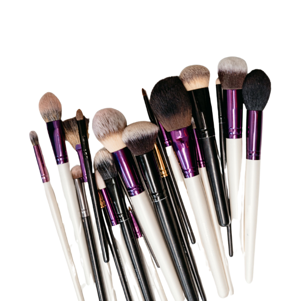High quality Makeup Brushes Set for Women's Eye Beauty